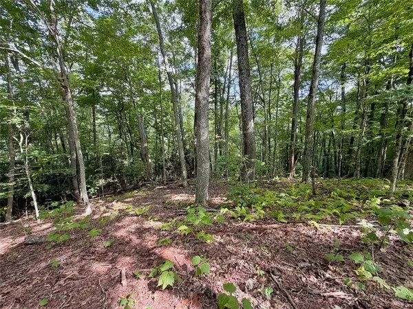 TBD Galax LN, Banner Elk, NC 28604
