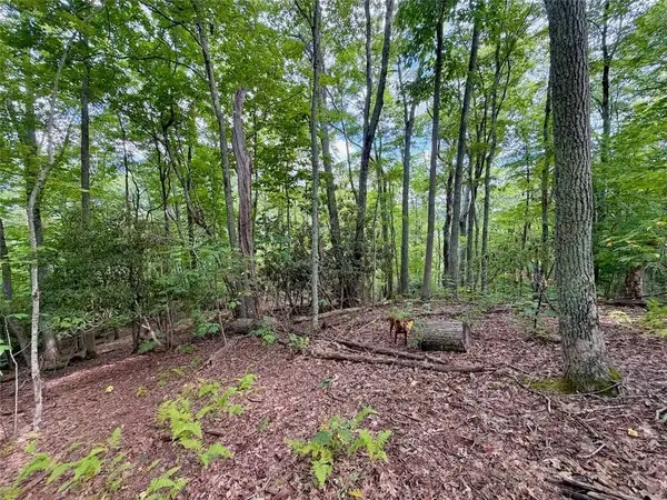 TBD Galax LN