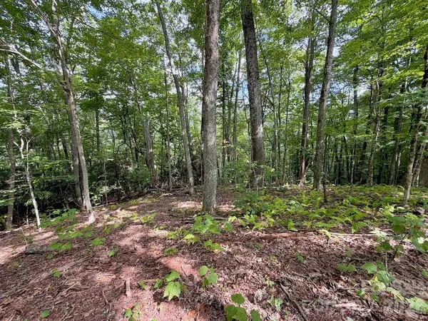 TBD Galax LN #45, Banner Elk, NC 28604