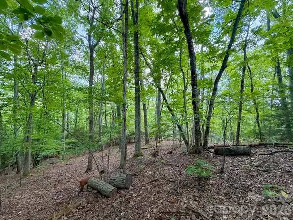 TBD Galax LN #45, Banner Elk, NC 28604