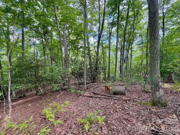 TBD Galax LN #45