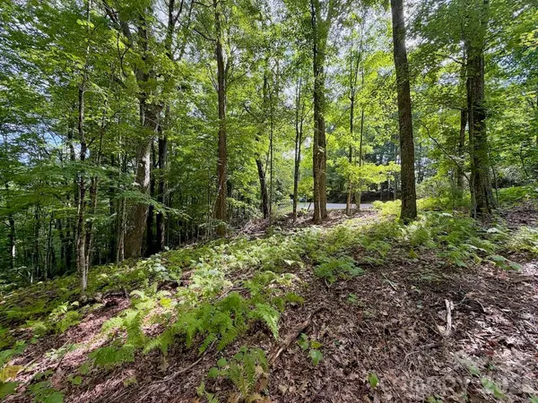 TBD Galax LN #45, Banner Elk, NC 28604
