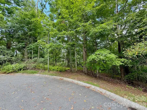 TBD Galax LN #45, Banner Elk, NC 28604