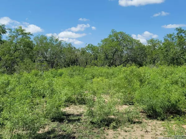 2142 Blue Creek, La Vernia, TX 78121