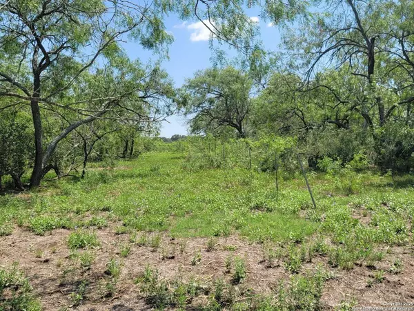 2142 Blue Creek, La Vernia, TX 78121