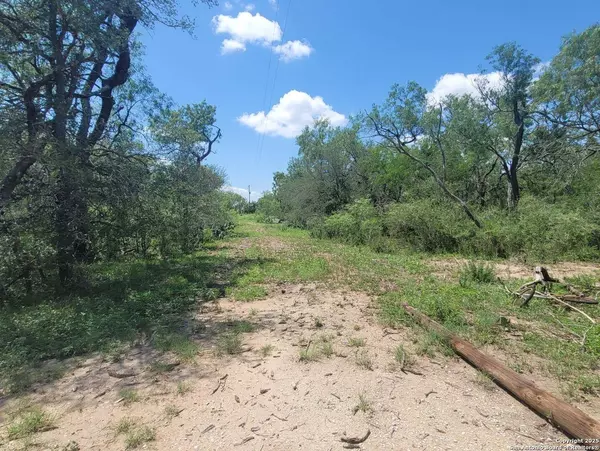 2142 Blue Creek, La Vernia, TX 78121