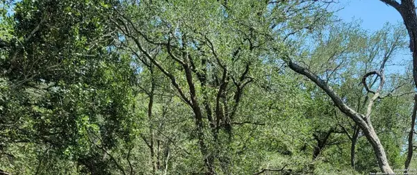 2142 Blue Creek, La Vernia, TX 78121