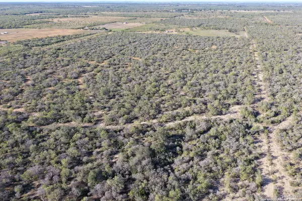 601 Co Rd 642, Yancey, TX 78886