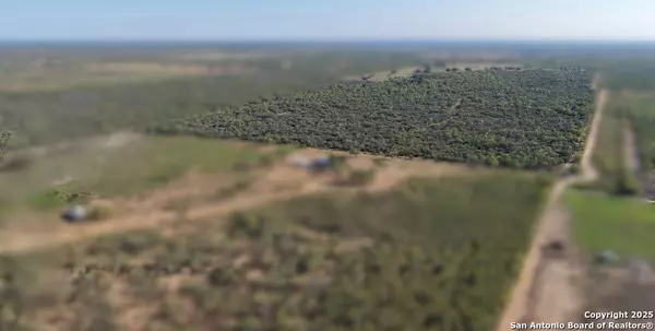 601 Co Rd 642, Yancey, TX 78886