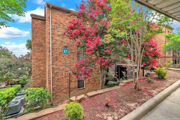 4212 Medical UNIT 1705, San Antonio, TX 78229