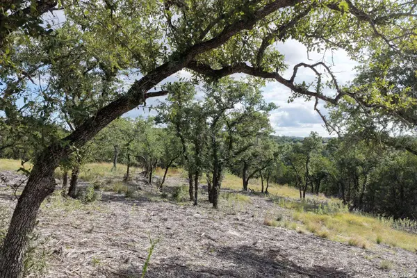LOT 55 Canyon Terrace Dr, Canyon Lake, TX 78133