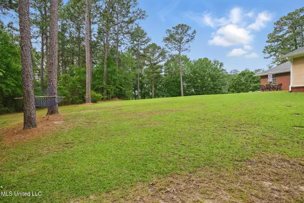 210 Longleaf Drive, Petal, MS 39465