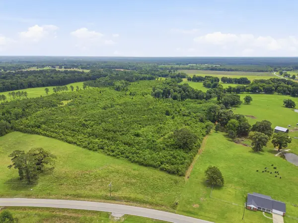 Lot 5 00 MS Highway 29, Ovett, MS 39464
