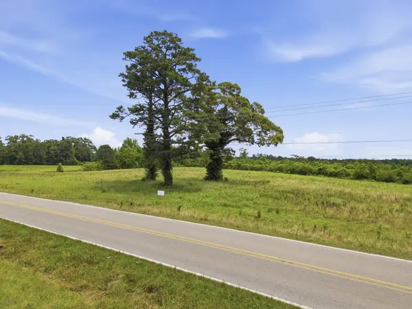 Lot 4 00 MS Highway 29, Ovett, MS 39464