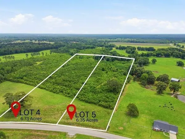 Lot 4 00 MS Highway 29, Ovett, MS 39464
