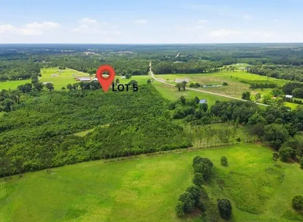 Lot 5 00 MS Highway 29, Ovett, MS 39464