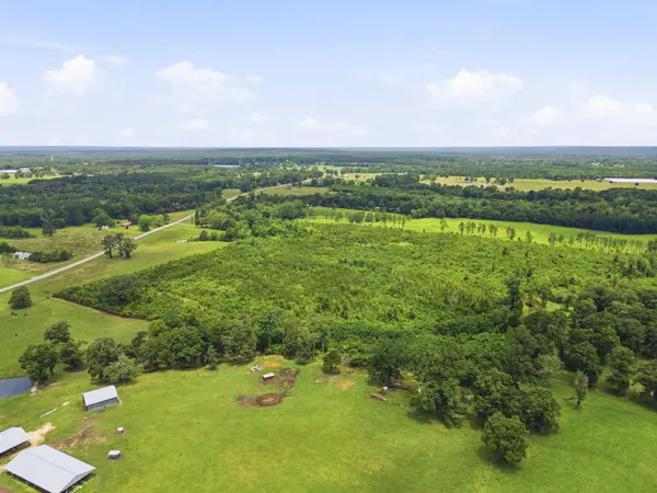 Lot 3 00 MS Highway 29, Ovett, MS 39464