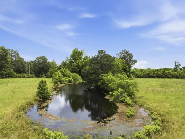 Lot 2 00 MS Highway 29, Ovett, MS 39464