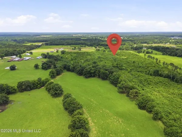 0 Ms Highway 29, Ovett, MS 39464