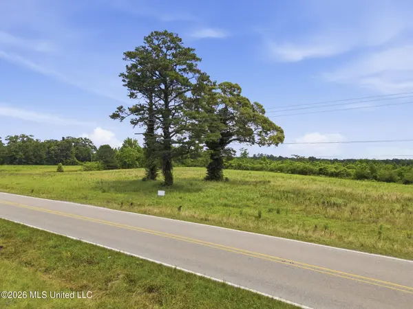 Ms Highway 29, Ovett, MS 39464