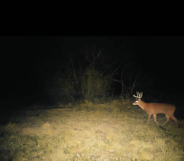 0 Helstad Coulee Rd, Ettrick, WI 54627