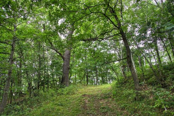 0 Helstad Coulee Rd, Ettrick, WI 54627