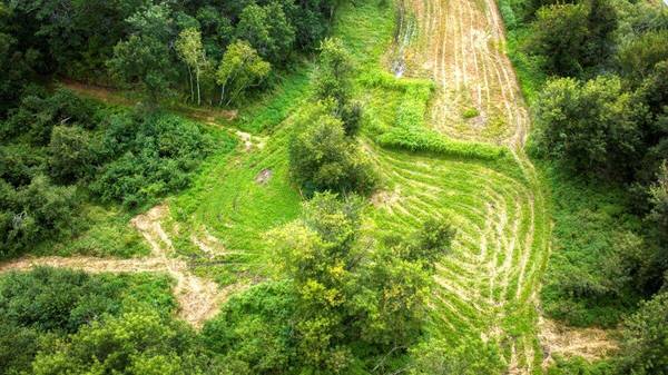 0 Helstad Coulee Rd, Ettrick, WI 54627