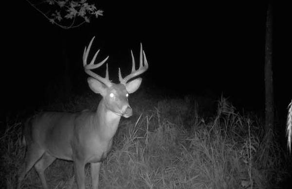 S2986 Barth Rd, Cross, WI 54629