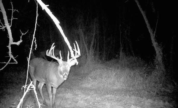 S2986 Barth Rd, Cross, WI 54629