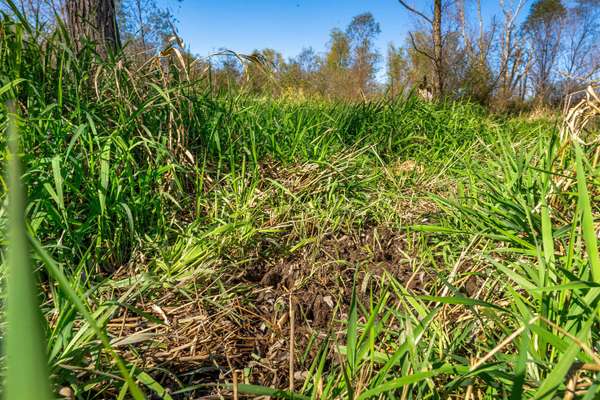 S2986 Barth Rd, Cross, WI 54629