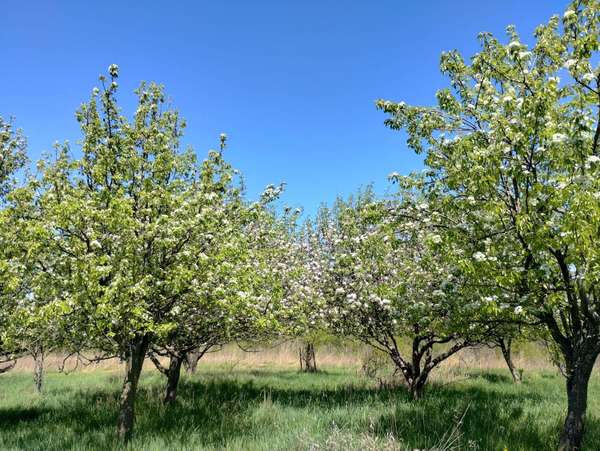 25005 Norhardt Ave, Wellington, WI 54651