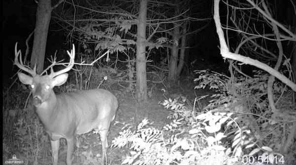 25005 Norhardt Ave, Wellington, WI 54651