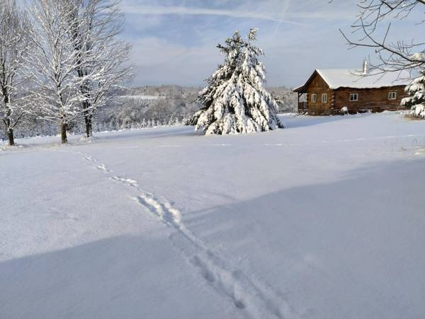 25005 Norhardt Ave, Wellington, WI 54651