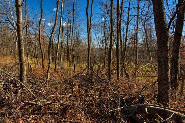 0 Turben Ridge Rd, Clayton, WI 54655