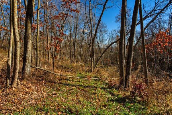 0 Turben Ridge Rd, Clayton, WI 54655