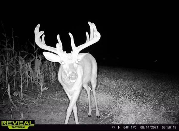 N23415 Oak Ridge Dr, Gale, WI 54630