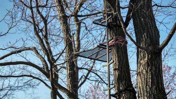 W1496 H Olson Rd, Mindoro, WI 54644-9459