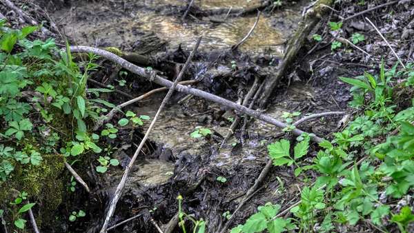 W1496 H Olson Rd, Mindoro, WI 54644-9459