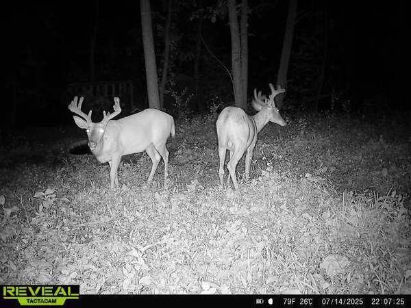 W2830 Russlan Coulee Rd, Barre, WI 54601