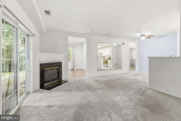 9695 DEVEDENTE DR #100, Owings Mills, MD 21117
