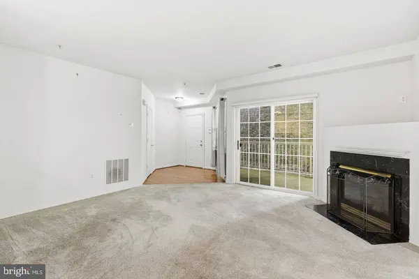 9695 DEVEDENTE DR #100, Owings Mills, MD 21117