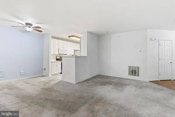 9695 DEVEDENTE DR #100, Owings Mills, MD 21117