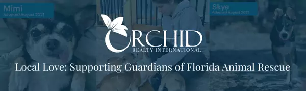 Local Love Initiative: Supporting Guardians of Florida Animal Rescue,Jennifer Springer Rinden