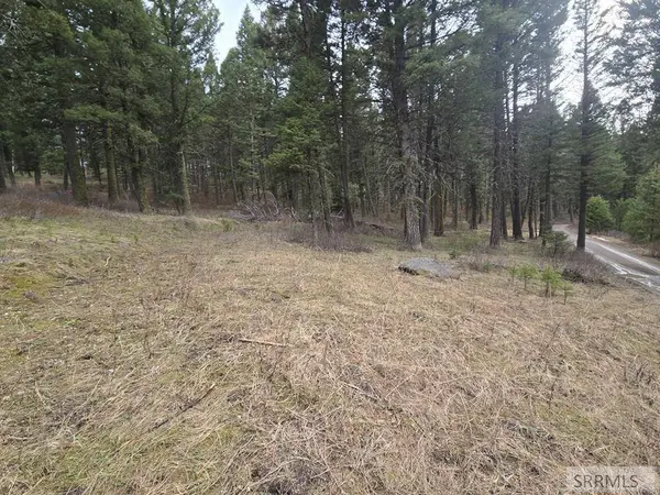 3548 Aspen Ln, Island Park, ID 83429