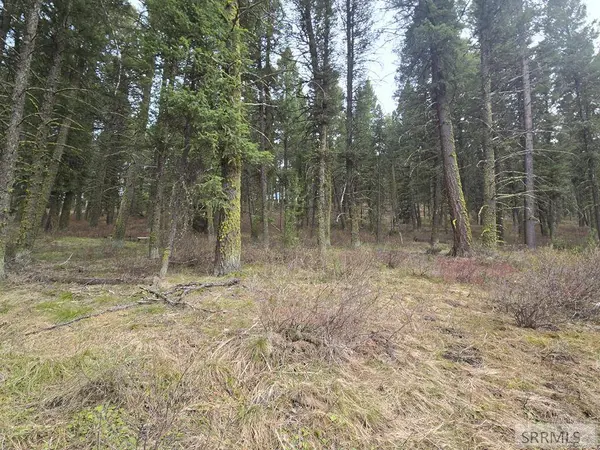 3548 Aspen Ln, Island Park, ID 83429