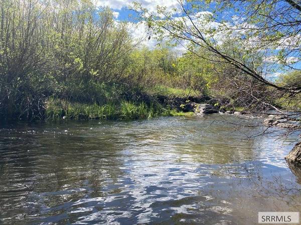 NA Idmon Road, Spencer, ID 83446