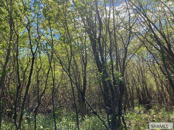 NA Idmon Road, Spencer, ID 83446