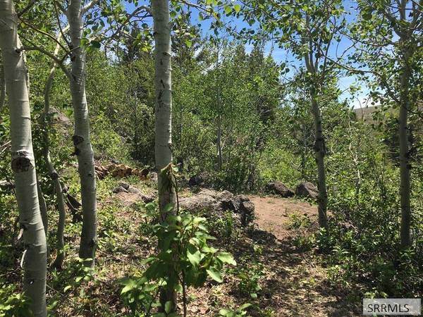 NA Idmon Road, Spencer, ID 83446