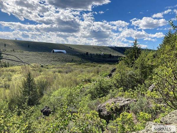 NA Idmon Road, Spencer, ID 83446