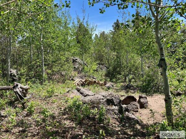 NA Idmon Road, Spencer, ID 83446